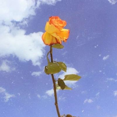 安徽发布一批干部任前公示公告